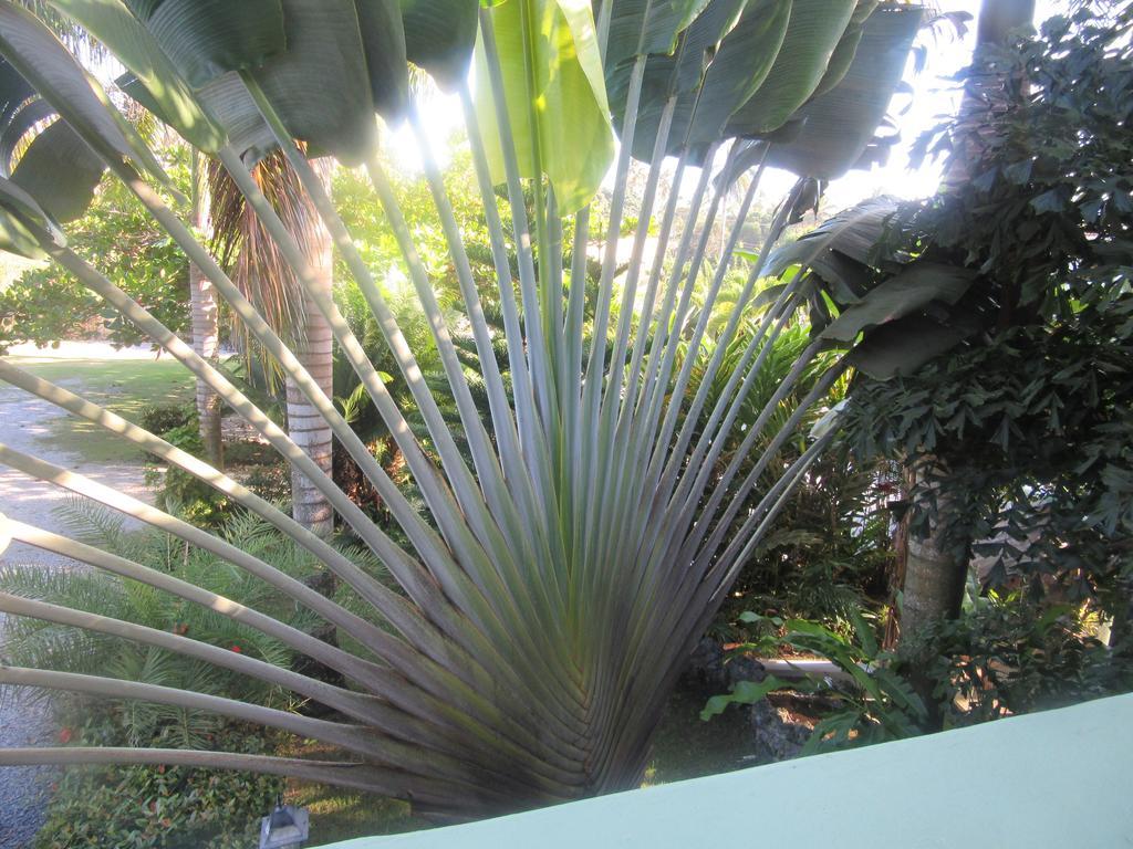 Hotel Cambri Nagua Esterno foto